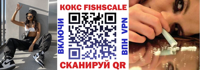 COCAIN Fish Scale  дарнет шоп  нарко площадка телеграм  Палласовка 