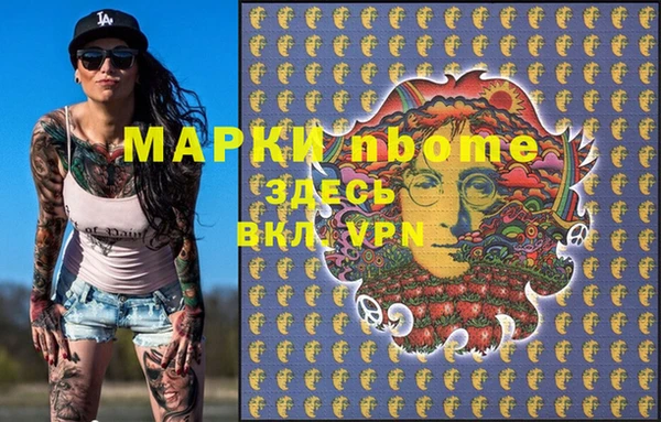 твердый Новозыбков