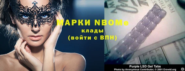 прущие грибы Новокубанск