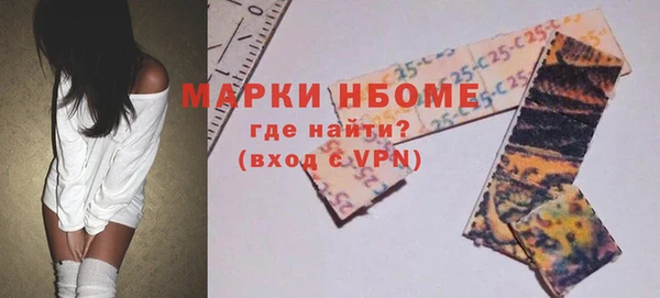 стаф Новодвинск