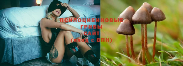 твердый Новозыбков