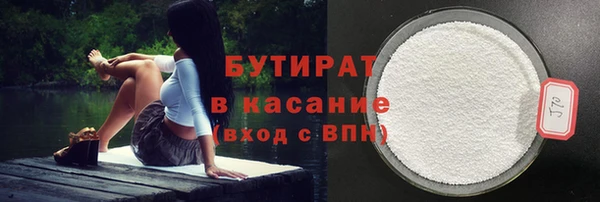 твердый Новозыбков