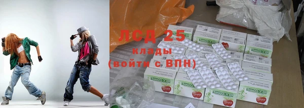 прущие грибы Новокубанск