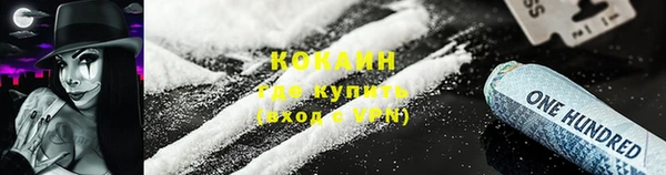 твердый Новозыбков