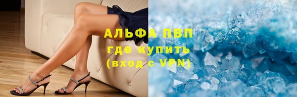прущие грибы Новокубанск