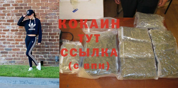 прущие грибы Новокубанск