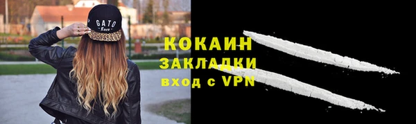 стаф Новодвинск