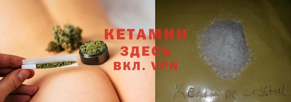 твердый Новозыбков