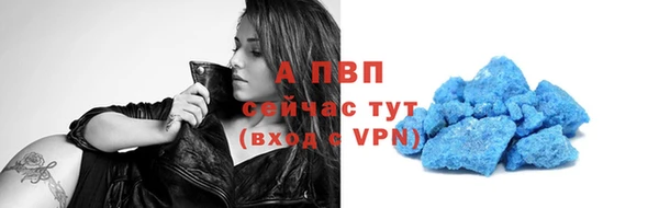 стаф Новодвинск