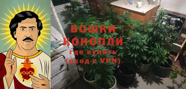 Альфа ПВП Верея