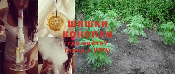 стаф Новодвинск