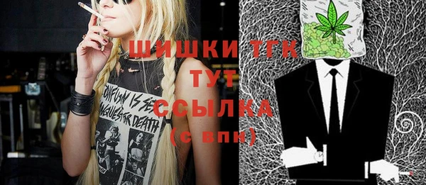 твердый Новозыбков