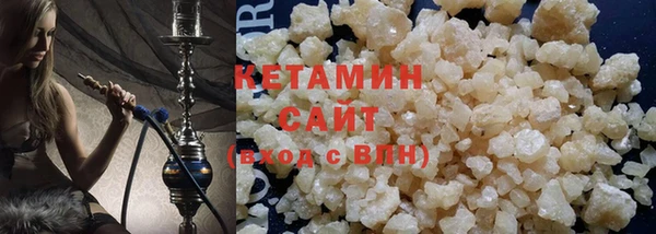 твердый Новозыбков