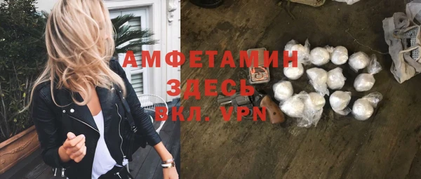 стаф Новодвинск
