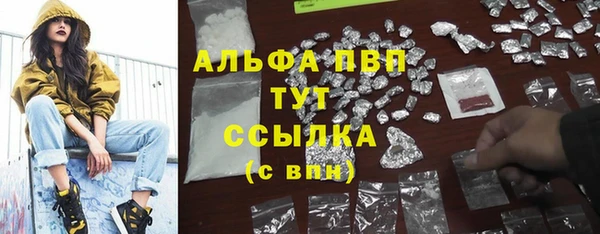 твердый Новозыбков