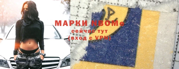 прущие грибы Новокубанск