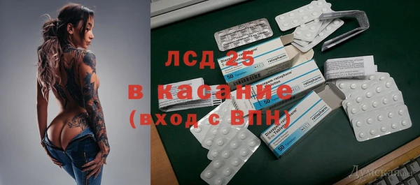 стаф Новодвинск