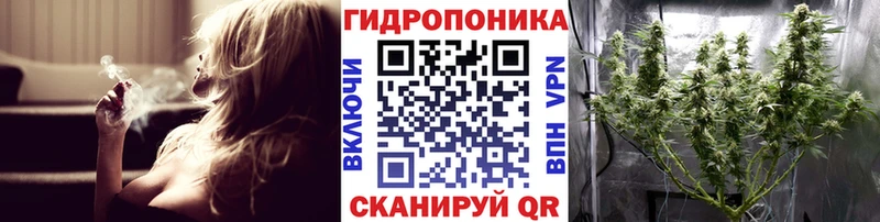 Шишки марихуана семена купить наркотики сайты Палласовка
